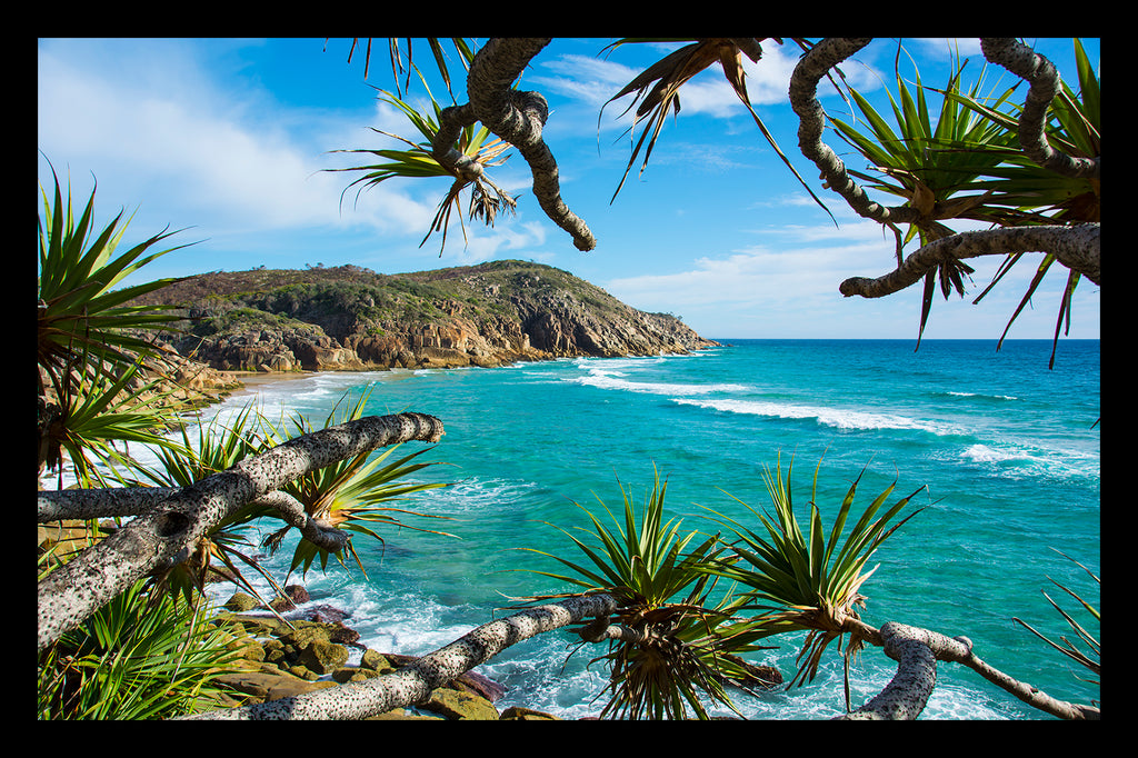 PANDANUS BEACH