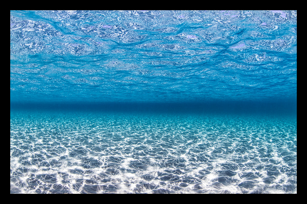 INTO THE BLUE