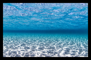 INTO THE BLUE