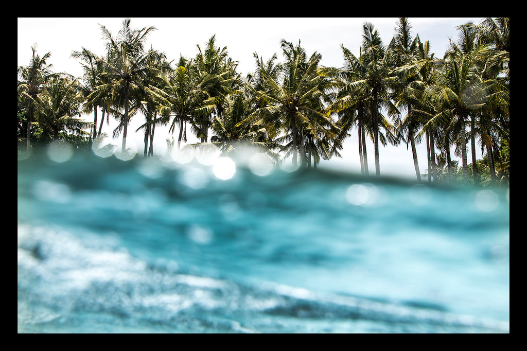 PARADISE