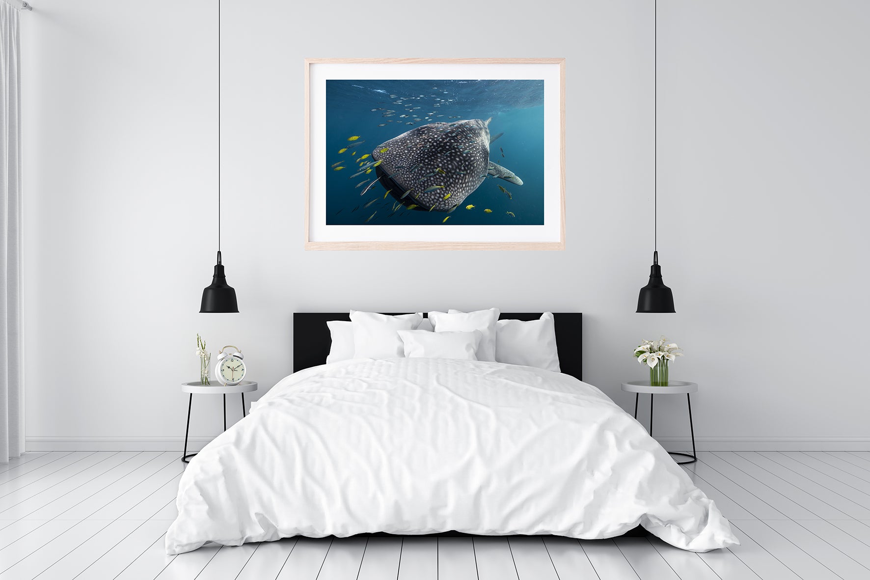 WHALE SHARK
