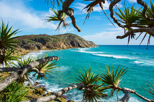 PANDANUS BEACH