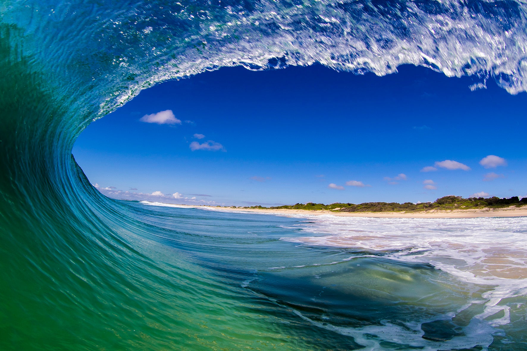 SURF
