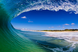 SURF
