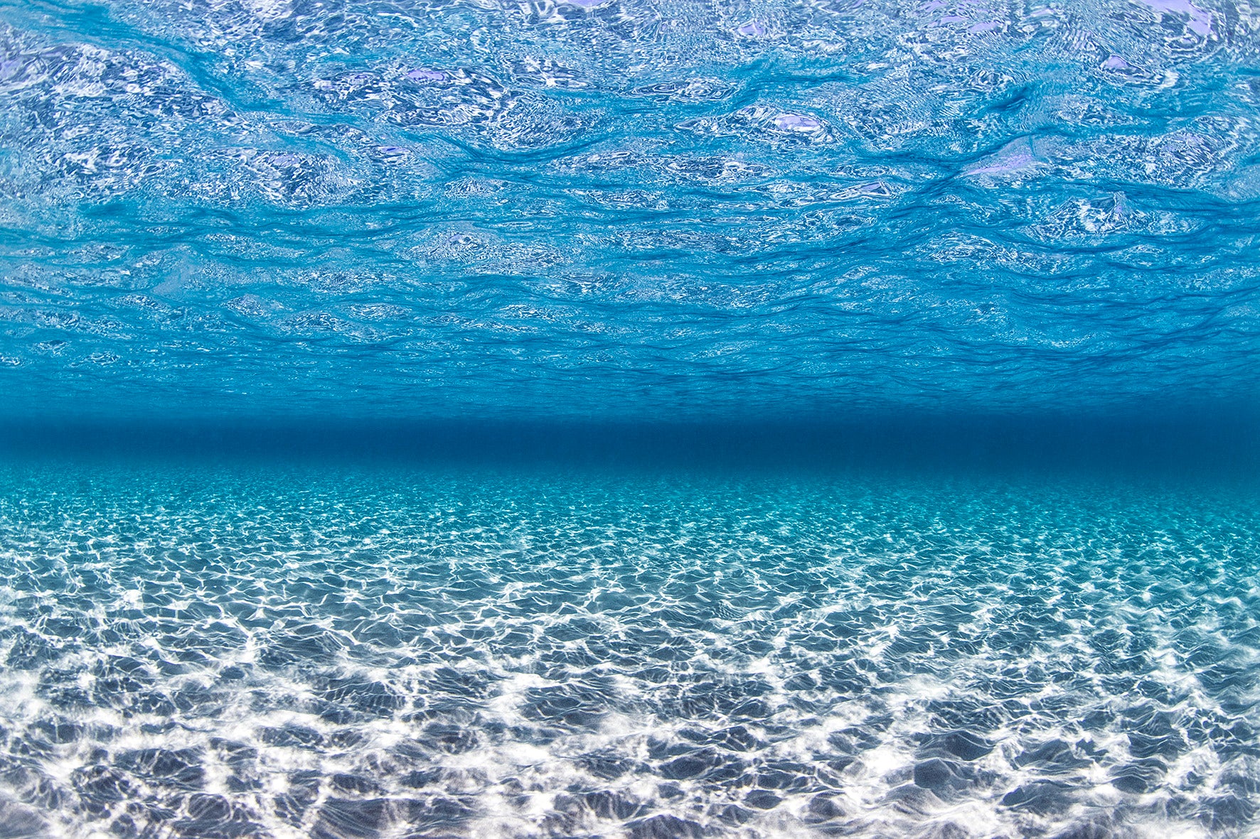 INTO THE BLUE