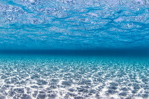 INTO THE BLUE