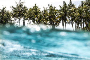 PARADISE